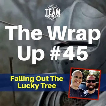Falling Out The Lucky Tree - The Wrap Up # 46 cover